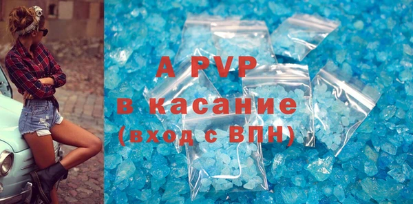 PSILOCYBIN Волосово