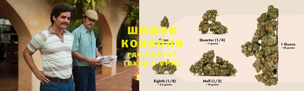 PSILOCYBIN Волосово