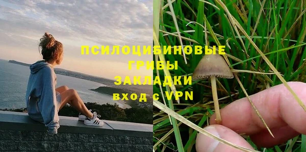 PSILOCYBIN Волосово