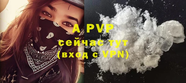 PSILOCYBIN Волосово