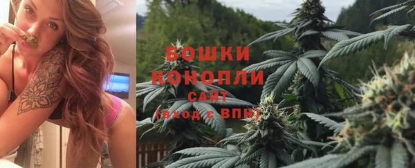PSILOCYBIN Волосово