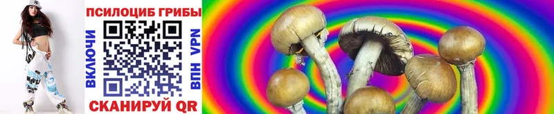 Галлюциногенные грибы ЛСД  Купить  Пошехонье 